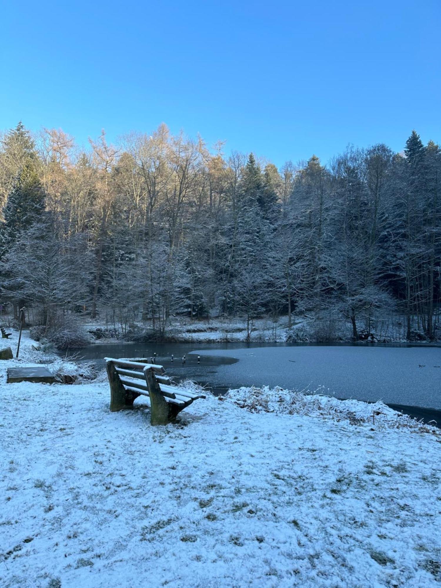 Fewo “Ruhige Momente” In Waldkirch Exteriör bild