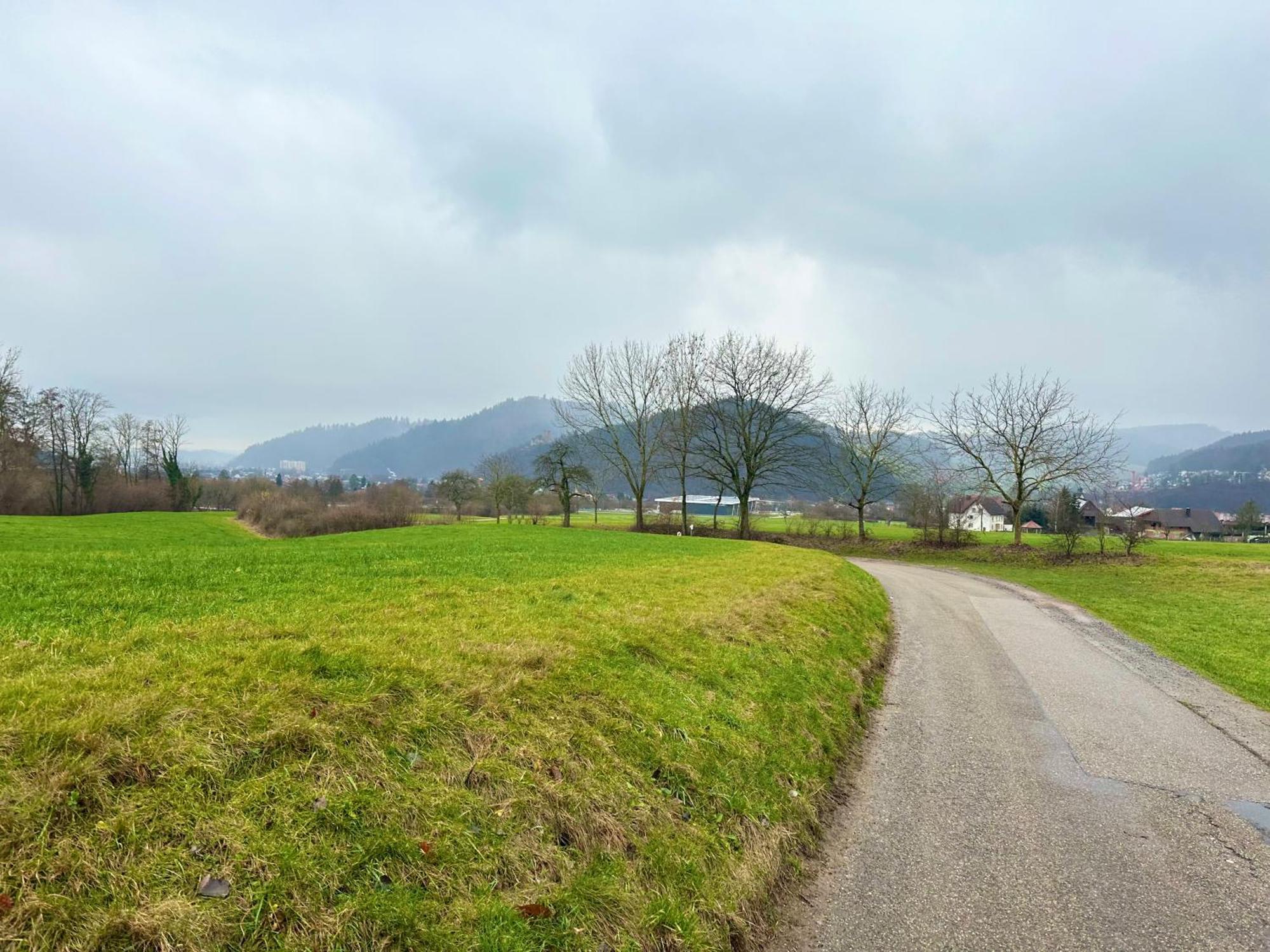 Fewo “Ruhige Momente” In Waldkirch Exteriör bild
